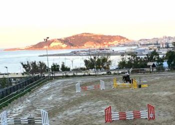 centro-ecuestre-hipica-6