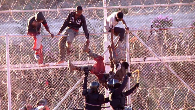 concertinas-valla-ceuta