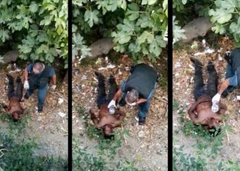 tripleta-rezagado-inmigrante