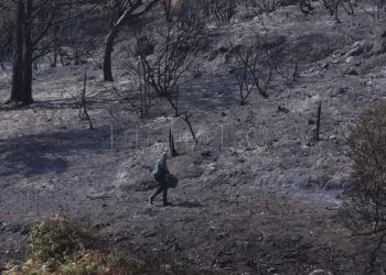 incendio-agosto-calamocarro-editorial