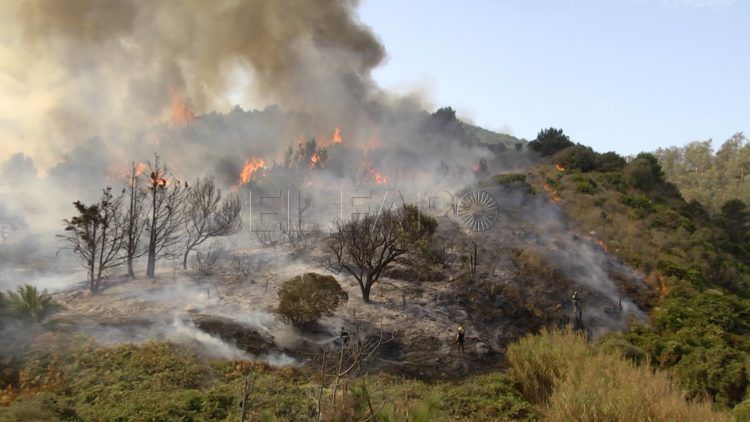 incendio-calamocarro-contado-dentro-1