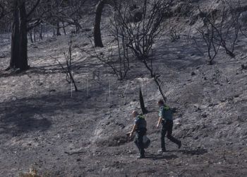 incendio-calamocarro-dia-despues