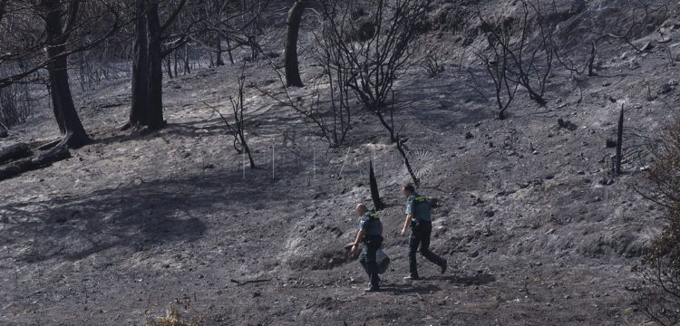 incendio-calamocarro-dia-despues
