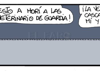 lunes-11-agosto-2019