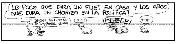 lunes-19-agosto-2019