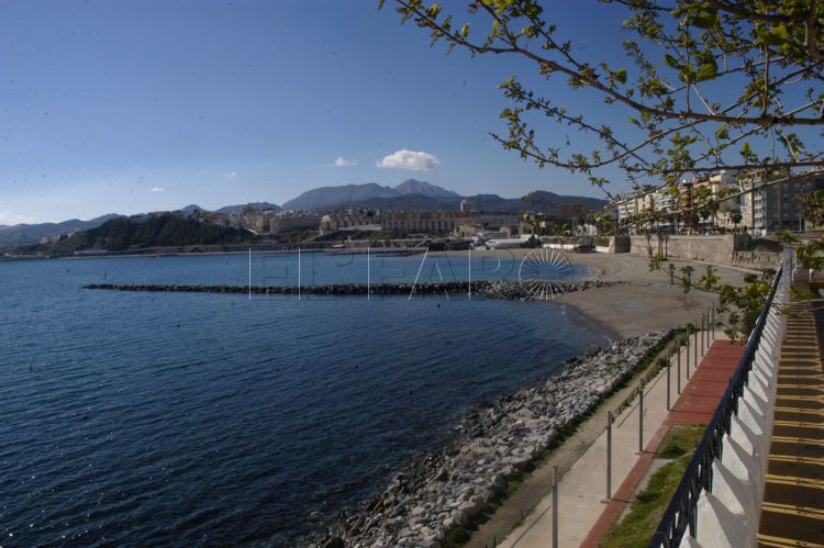 mi-bisabuelo-paco-vii