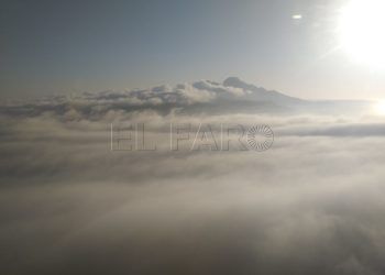 niebla
