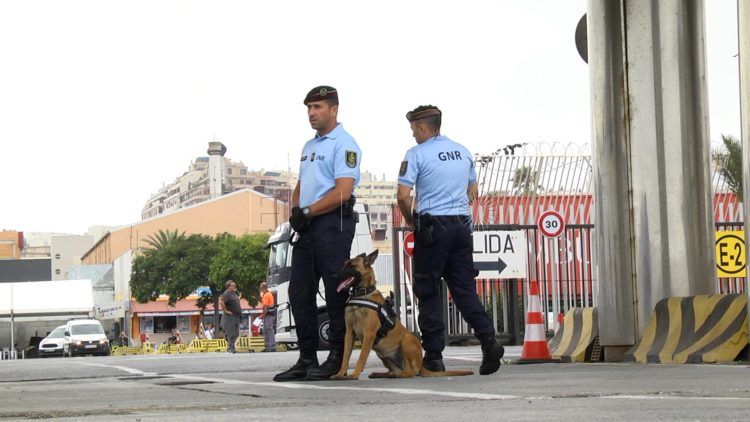 operacion-minerva-24