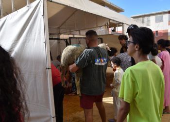 pascua-cordero-ceuta-2