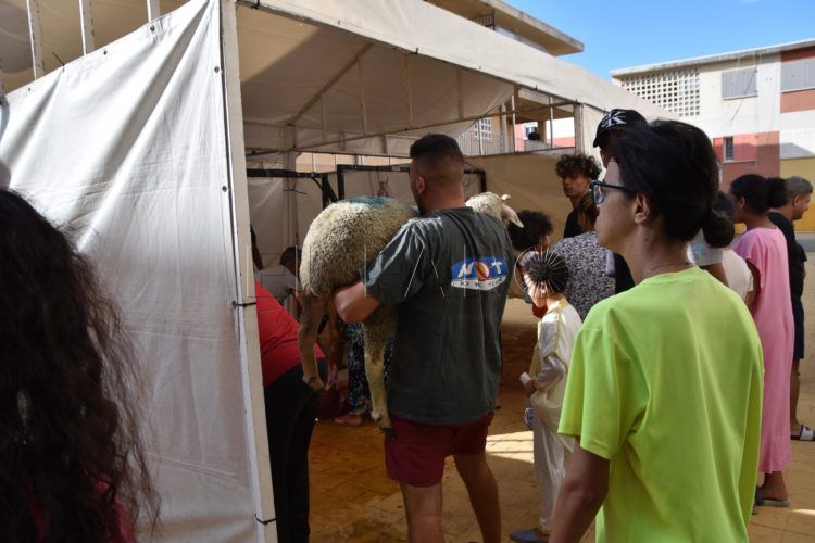 pascua-cordero-ceuta-2