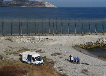 recuperados-cuerpos-delfines-6