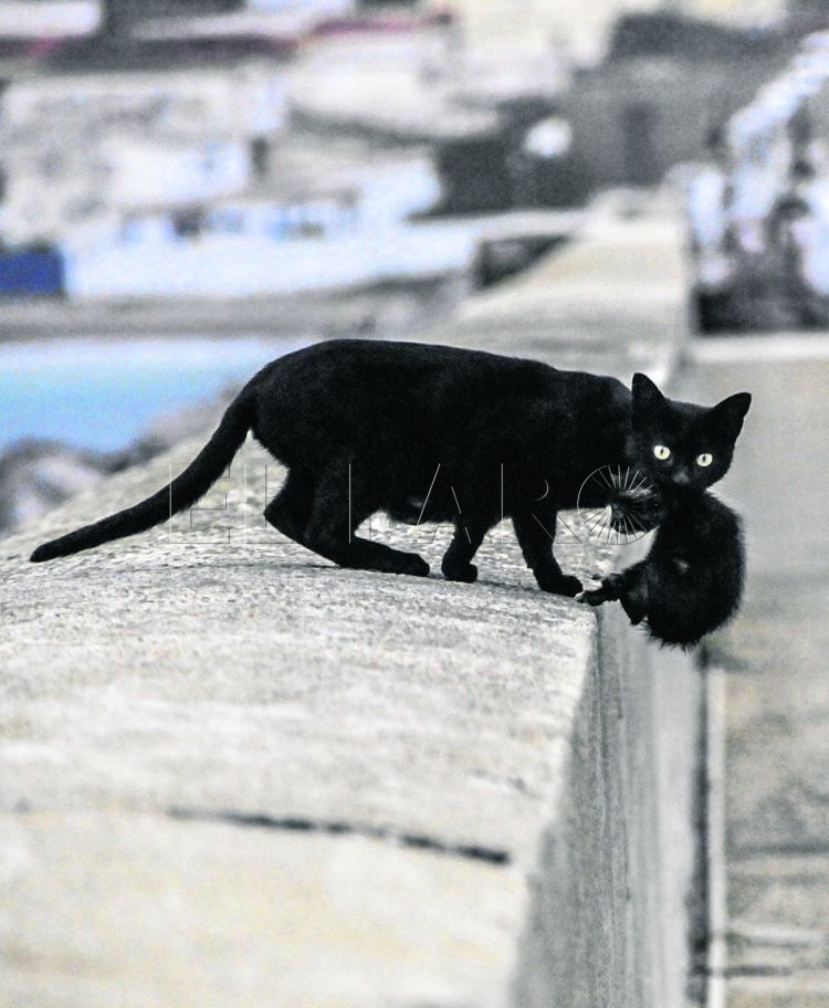 supèrsticiones-supercherias