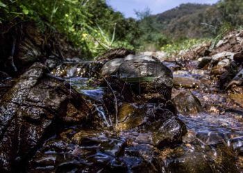 agua-marruecos-acemsa