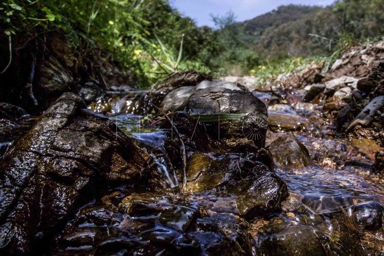 agua-marruecos-acemsa