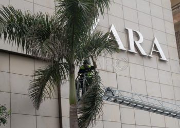 bomberos-ramas-palmera-revellin-1