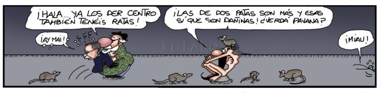 domingo-1-septiembre-2019