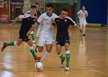 memorial-paco-alarcon