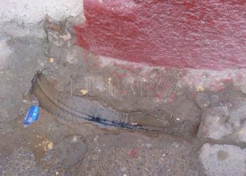 red-saneamiento-principe-alfonso-2