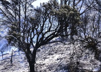 septem-nostra-ceutalgia