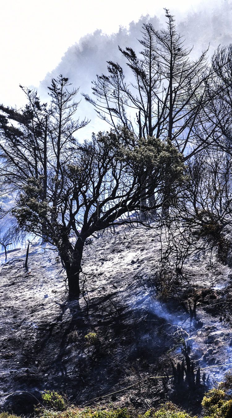 septem-nostra-ceutalgia