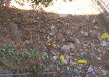 suciedad-poligono-jardin-7