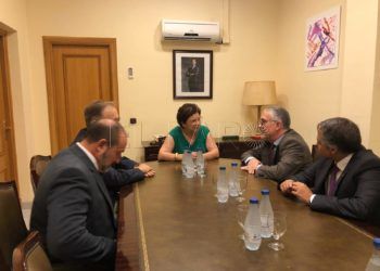 Reunion-INGESA-delegacion