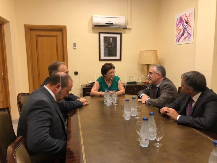 Reunion-INGESA-delegacion