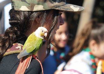 aves-arroyo-calamocarro