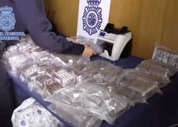 cnp-organizacion-hachis-4