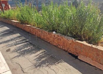 deficiencias-sidi-embarek-mdyc