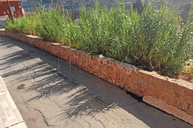 deficiencias-sidi-embarek-mdyc