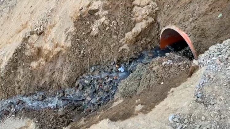 denuncias-vecinos-principe-3