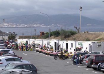 flores-dia-santos-catalina-1