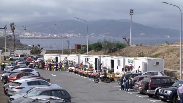 flores-dia-santos-catalina-1