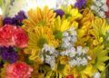 flores-dia-santos-catalina-11