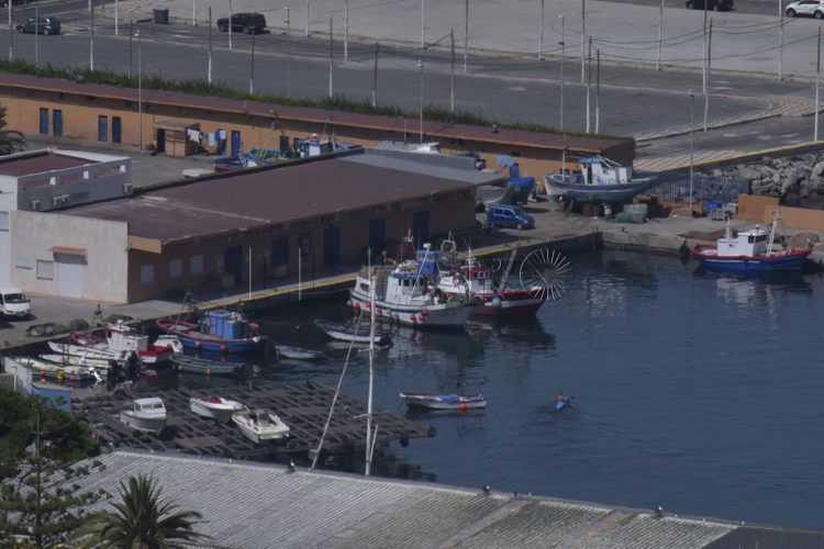 flota-pesquera-turismo