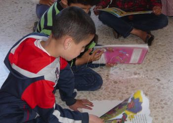 plan-leer-escribir-primaria