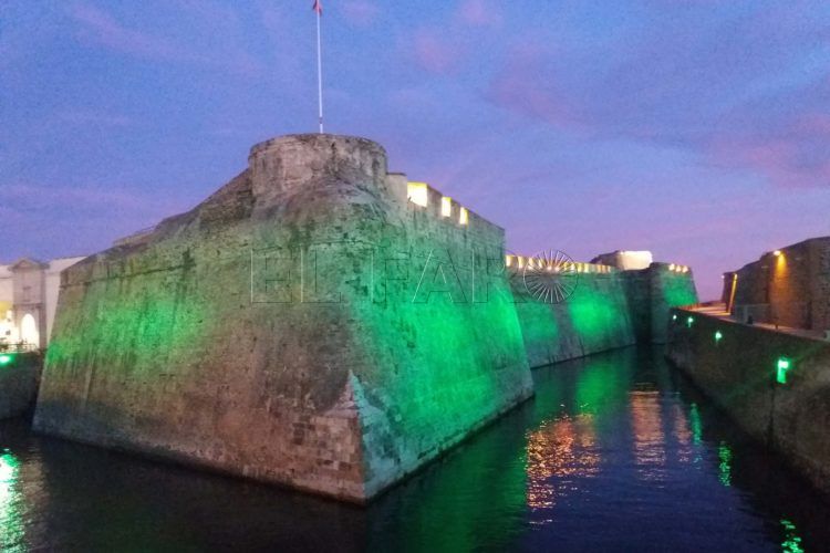 plena-inclusion-murallas-reales