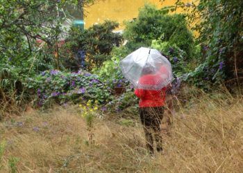 vecina-monte-benitez-29