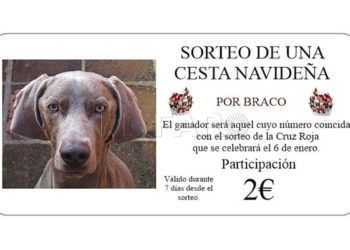 braco-ceuta-sin-plastico