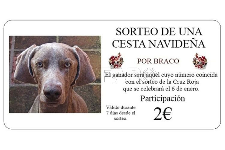 braco-ceuta-sin-plastico