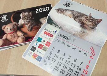 calendario-comunidad-gatuna