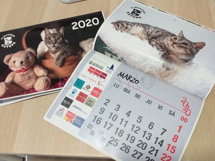 calendario-comunidad-gatuna