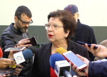 delegada-gobierno-10n-1