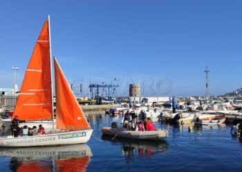 icd-actividad-veleros