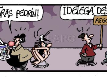 martes-19-noviembre-2019