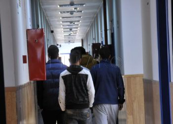 mena-sistema-acogida-familias