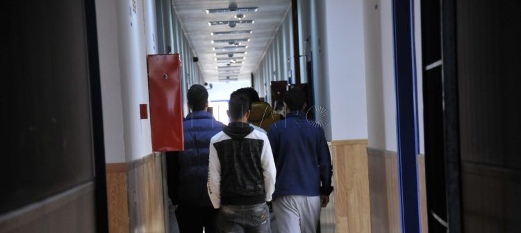 mena-sistema-acogida-familias