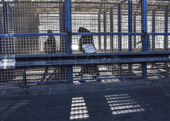 muchachas-empleadas-hogar-frontera-tarajal