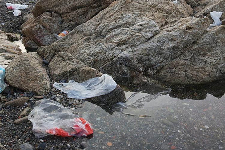 pescadores-incivicos-dejadez-medio-ambiente-4